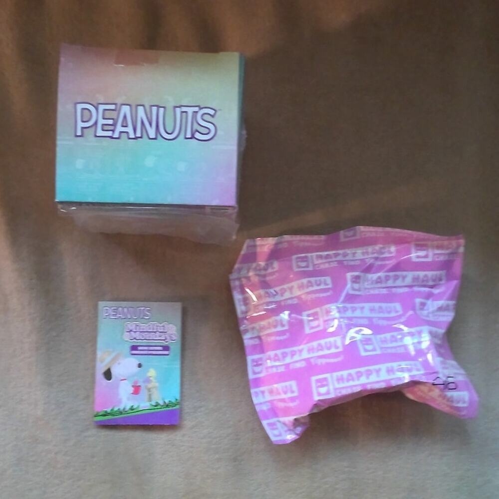 NEW Peanuts Mindful Mondays Blind Box Snoopy in the Pool Bag Unopened